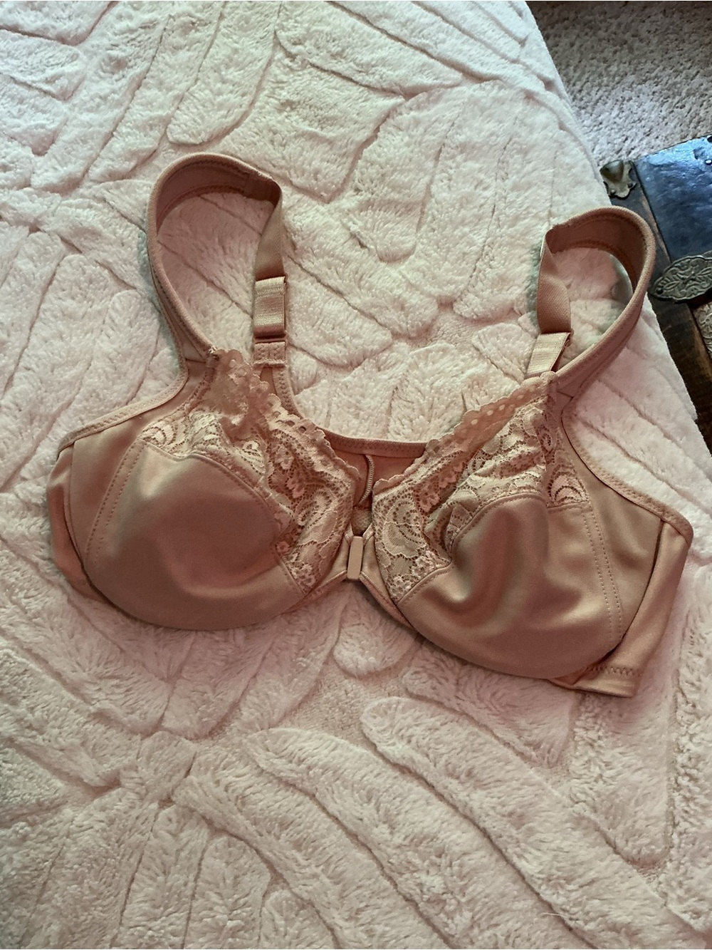 Glamorise Blush Lace-Trim Full Coverage Bra